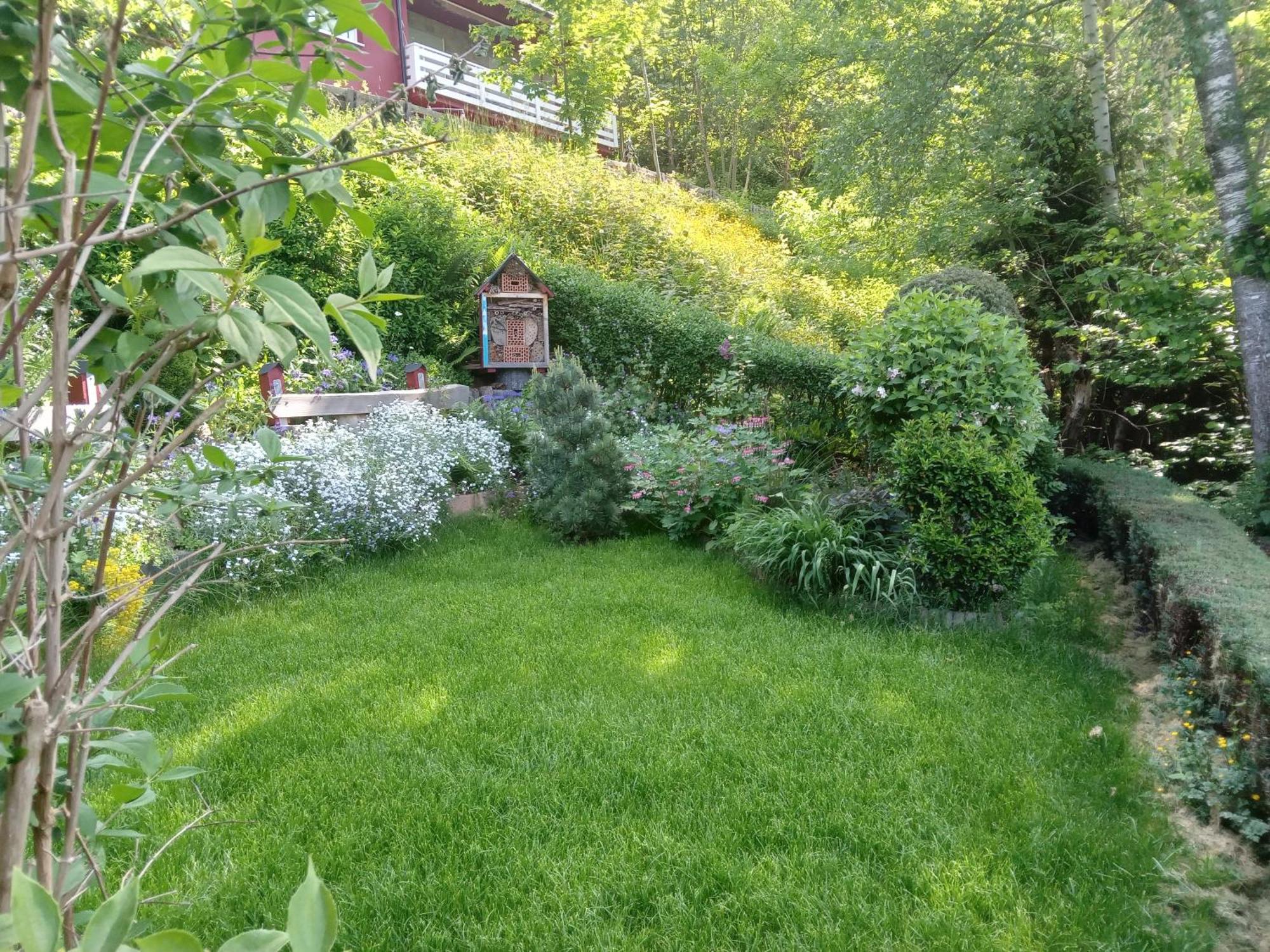 Haus Wiesental Kleines Wiesental Kültér fotó