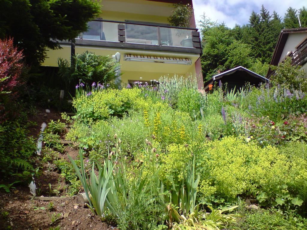 Haus Wiesental Kleines Wiesental Kültér fotó