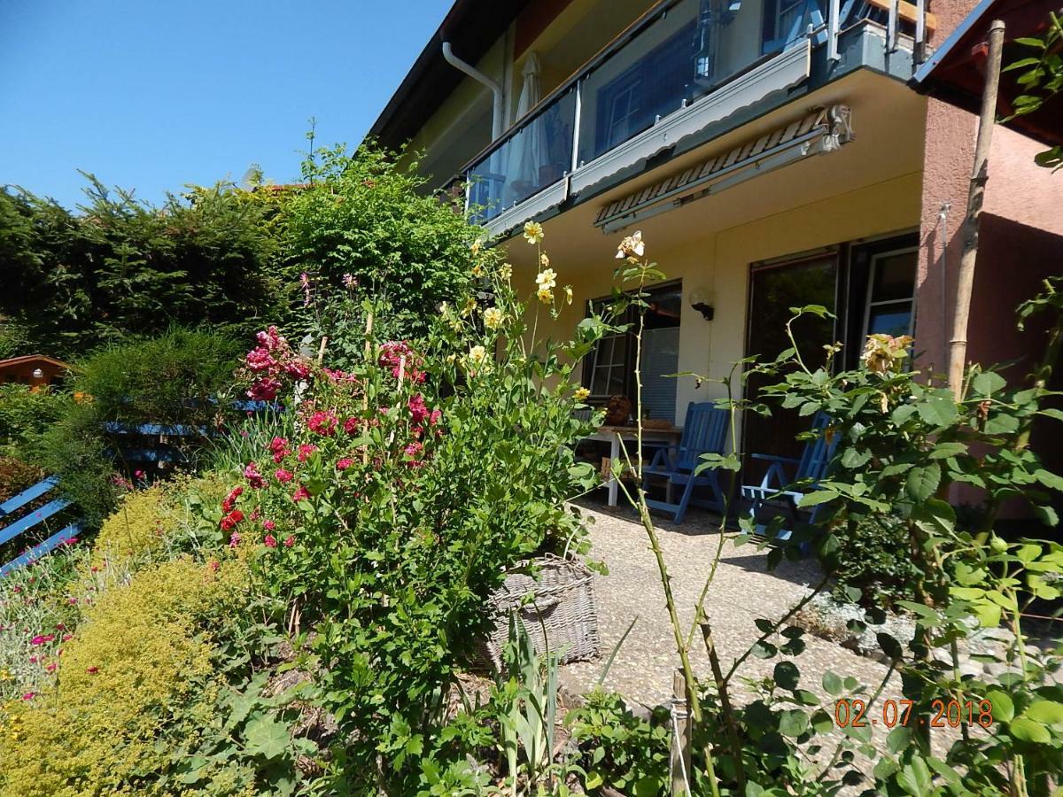 Haus Wiesental Kleines Wiesental Kültér fotó