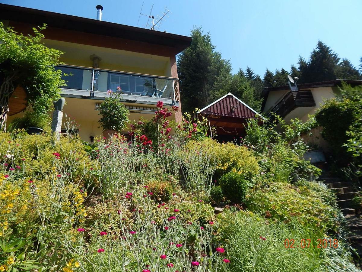 Haus Wiesental Kleines Wiesental Kültér fotó