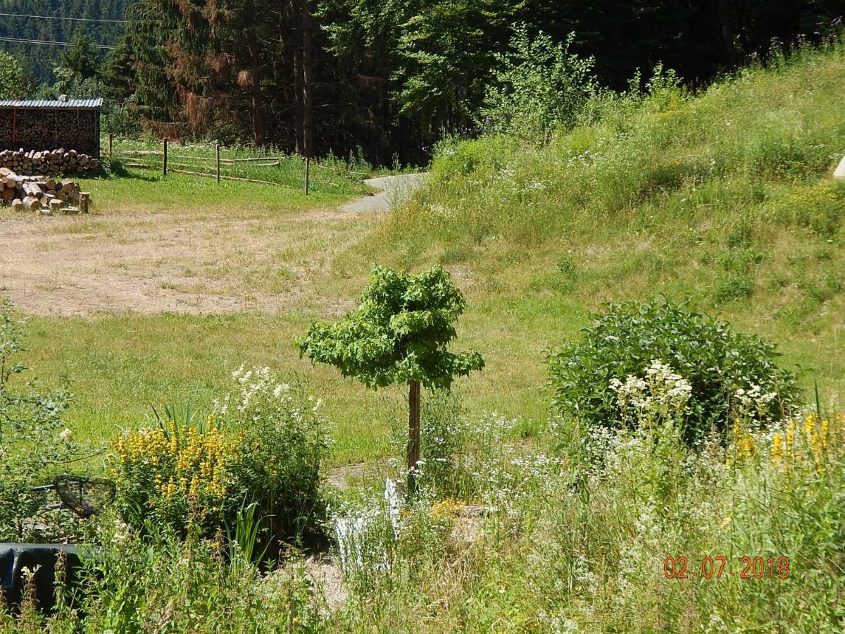 Haus Wiesental Kleines Wiesental Kültér fotó