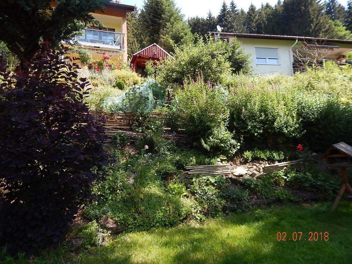 Haus Wiesental Kleines Wiesental Kültér fotó
